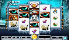 Siberian Storm gameplay detail